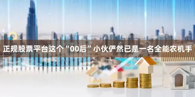 正规股票平台这个“00后”小伙俨然已是一名全能农机手