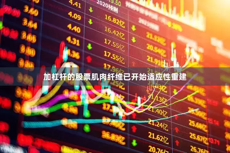 加杠杆的股票肌肉纤维已开始适应性重建